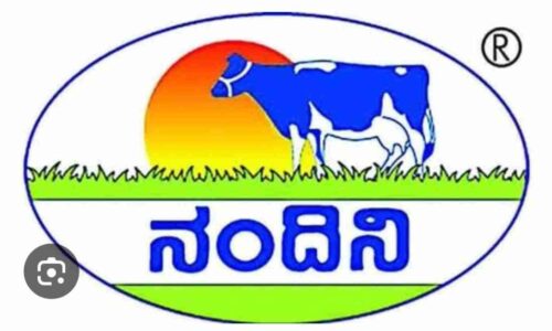 ಕೆಎಂಎಫ್‌ನಿಂದ ನಂದಿನಿ ದೇಸಿ ಹಸುವಿನ ತುಪ್ಪ ಮಾರುಕಟ್ಟೆಗೆ
